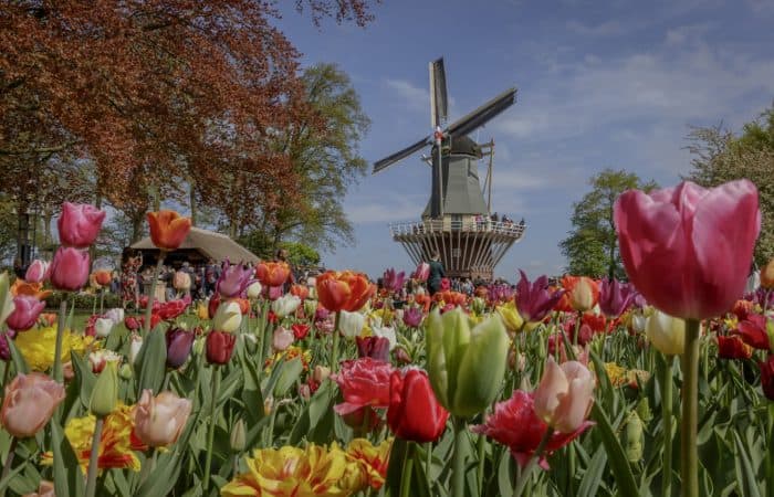 Pennywood Tours 2024 - Gardens and more ~ Pennywood Tours