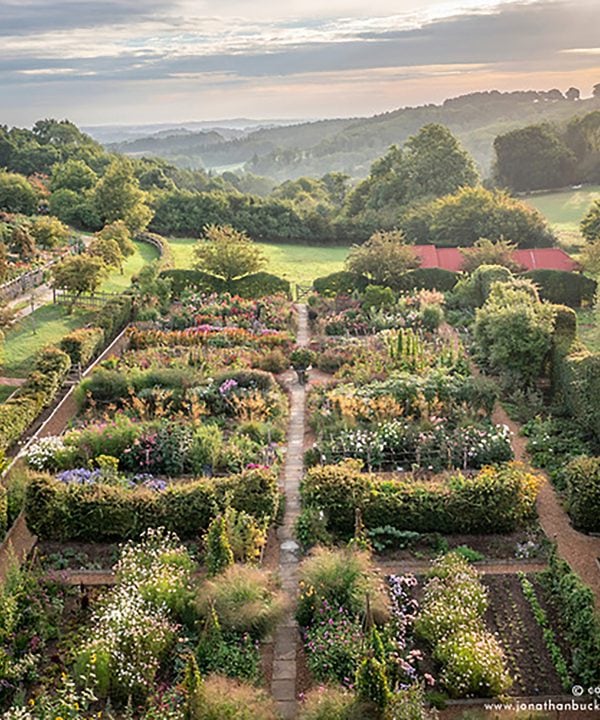 The Perennial Cutting Garden at Perch Hill from above - early morning