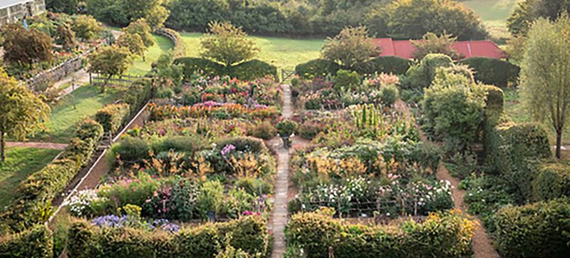 The Perennial Cutting Garden at Perch Hill from above - early morning