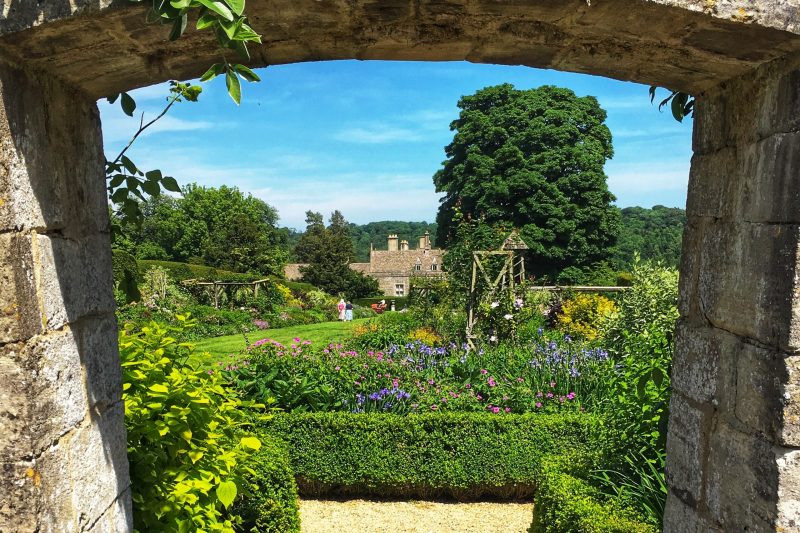 Scenic garden view with lush greenery and vibrant flowers under a blue sky.
