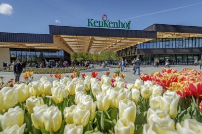 Visitors at Keukenhof Gardens with tulips in foreground.