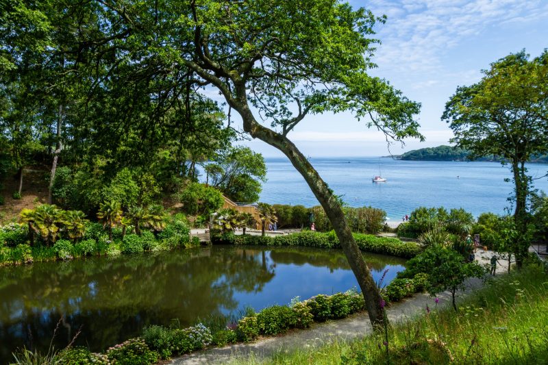 Beautiful lake scene with trees, water, and a boat at Pennywood Tours.